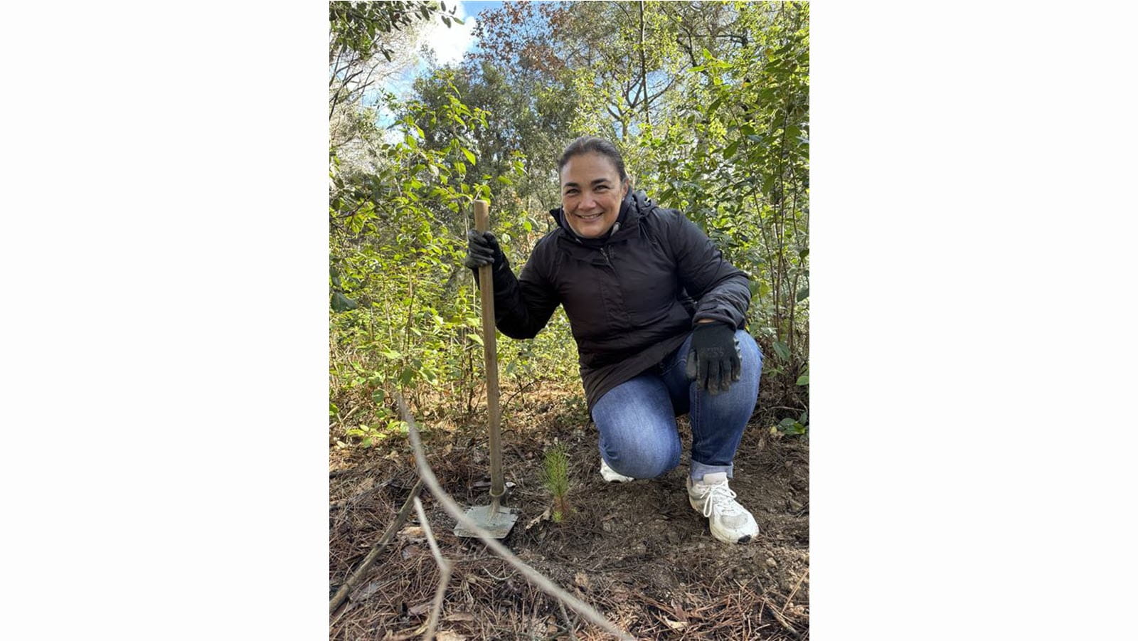 A CSL employee plants a small tree.
