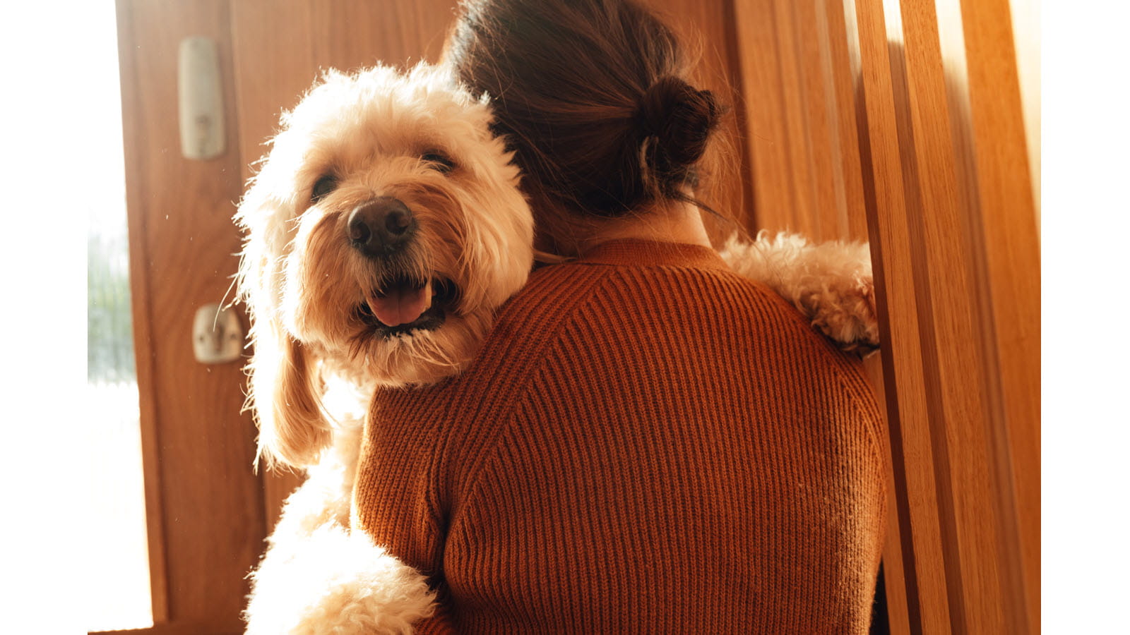 White fluffy dog hugs owner.