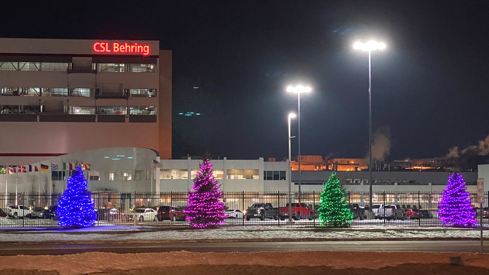 Trees outside CSL's Kankakee, Illinois, location lit up for Rare Disease Day 2026
