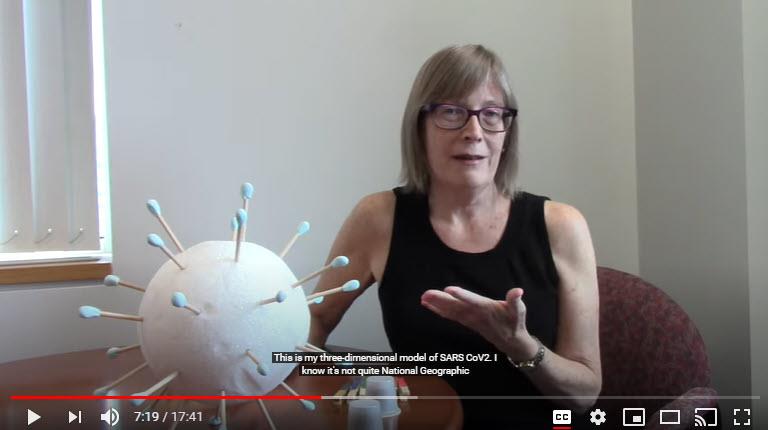 Dr. Kate Sullivan explains antibodies using a homemade model of the COVID-19 virus 